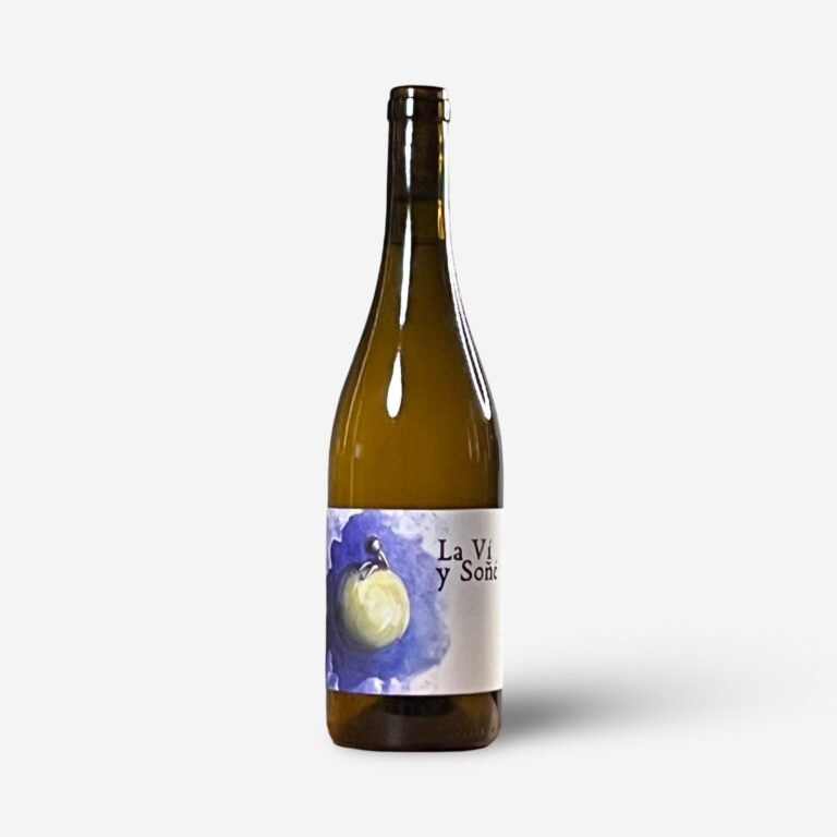 La Vi y Soñé